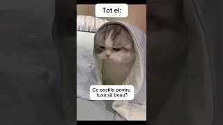 Cine s-a regăsit?🤣 #familie #regasire #viralvideo #youtubeshorts #acm #familie #memes #funny