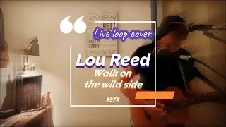 Lou Reed - Walk On The Wild Side (Live loop cover)