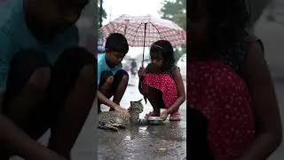 Sick cat rescue tow child ❤️🫂#cute #animals #lovecats #kids #kitten