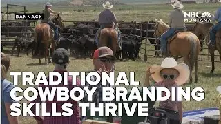 Traditional cowboy branding skills thrive at Cross Ranch near Bannack