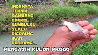 Mancing teknik kambang engkel,Sensasinya memang indah gays...