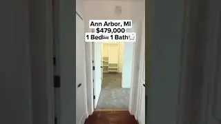 $479,000 Ann Arbor, MI Condo Tour: 1 Bed, 1 Bath!