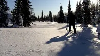 Tuntsan erämaa