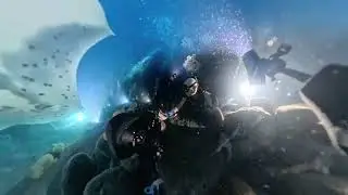 Kona manta ray night dive on insta360 x5