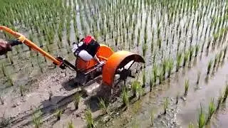 TWO ROW PADDY WEEDER
