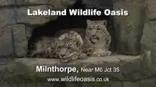 Lakeland Wildlife Oasis Tv Advert