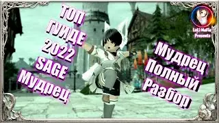 Final Fantasy XIV ПОЛНЫЙ РАЗБОР THE SAGE. ТОП ГУИДЕ НА МУДРЕЦА\THE SAGE