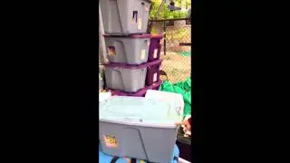 How to Take Care of Feral Cat Colonies During Winter