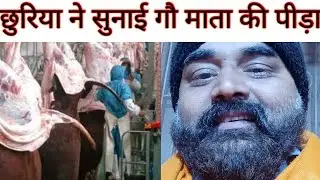 गौसेवा की जागरूकता करता भजन ! Bhajan raising awareness of cow service ! gau bhajan ! गऊ भजन  #SSJP