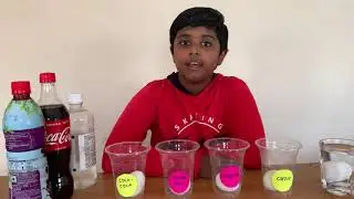 #Tooth Decay Experiment #Eggs in different Liquids science experiments #School projects #Class4 #DIY