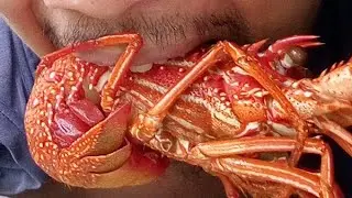 magkwenohan Tayo sa live