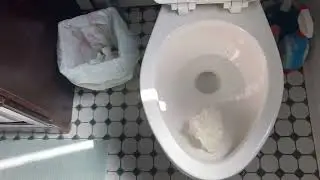 1997 American standard Renaissance￼ TP test (epic fail)