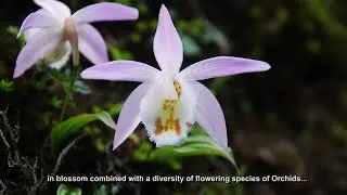 Khangchendzonga National Park - India's first UNESCO World Heritage Site on mixed criteria