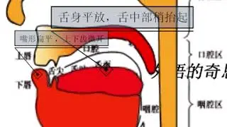 英语音标舌位结构图| 3单元音#英语音标舌位结构图#英语音标拼读#英语音标怎么读#英语入门#48个英语音标