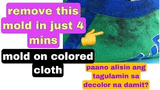 HOW TO REMOVE MOLD OR MILDEW FROM COLORED CLOTH PAANO ALISIN ANG TAGULAMIN SA DECOLOR NA DAMIT