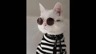 [FREE] Koi x Hella Sketchy x Bryce type beat // prod. snorkatje