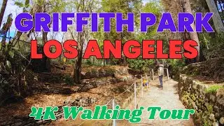 Fern Dell in Griffith Park | 4K Walk Tour | Los Angeles | California, USA | Family Hiking Adventures