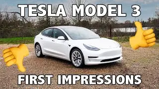 Tesla Model 3 First Impressions