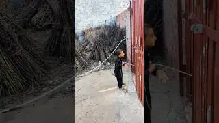 unt ki funny video funny comment