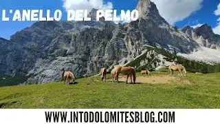 L'ANELLO DEL PELMO