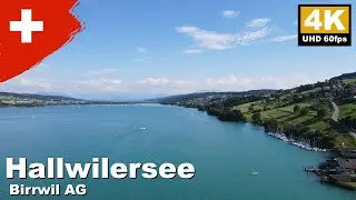Hallwilersee, Birrwil AG, Switzerland | 4K 60fps