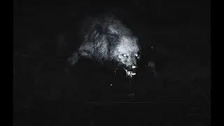 🎥 The Beast of Bray Road True Scary stories