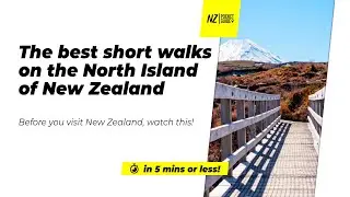 🗺️ The best short walks on the North Island of New Zealand - NZPocketGuide.com