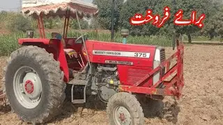 MF 375 tractor for sale new video ||second hand tractor for sale || 375 tractor for sale 