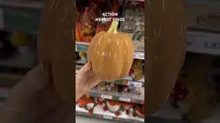 Action Herbst Finds 🍁 Werbung/Marke #action #actionhaul #actionneuheiten #stefaniele