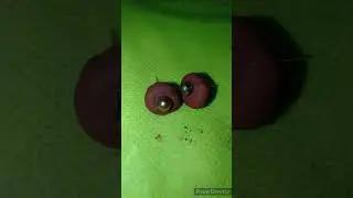 ear top from bond set my request please subscribe