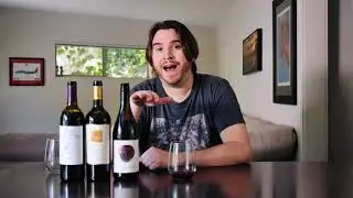 Trader Joe's Wine Reviewer - California Red's - Vine Trader vlog Ep. 1