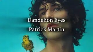 【和訳】Dandelion Eyes - Patrick Martin