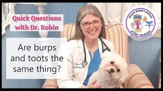 Are burps the same as toots? 🤔
