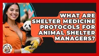 What Are Shelter Medicine Protocols For Animal Shelter Managers? - Animal Care Jobs
