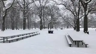 [4K] Toronto - High Park in Winter
