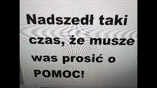 Niesamowita niespodzianka,............ Gorąca Prośba o POMOC.