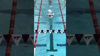 Antani Ivanov-Butterfly technique