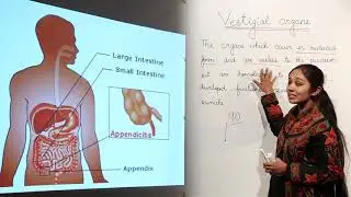 Best Free Lecture l Vestigial organs l CBSE 12 BIO | UNIT 7 | GENETIC | ORIGIN OF LIFE l L32