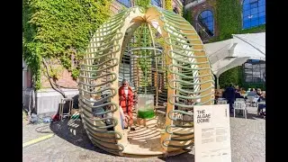 Algae Dome: Una Struttura Che Assorbe CO2 e Produce Cibo