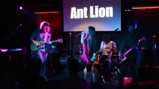 Ant Lion - Two needles - live