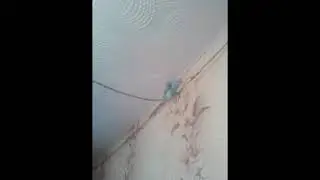 приколы#ржакадослез#лучшиеприколы#приколы