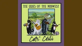 Siobh&aacute;n's Snowy Wedding