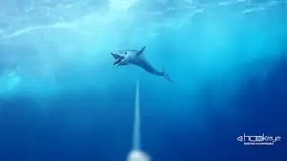 Wahoo Fishing with Hook-eye sportfishing action camera