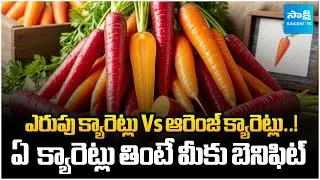 Red Carrots vs Orange Carrots: Which Is Healthier..?&nbsp;Health Benefits Compared | @Sakshitvfamily