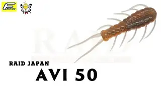 AVI 50 【RAID JAPAN】水中アクション映像