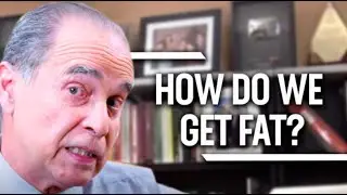 #33 How do we get fat?