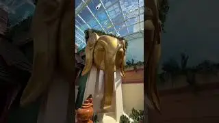 🎥 A veces, lo que m&aacute;s necesitas&hellip;