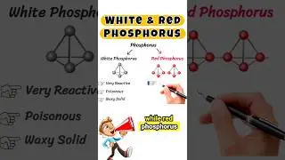 Red Phosphorus & White Phosphorus #phosphorous #allotropes #chemistry #education #shortvideo #shorts