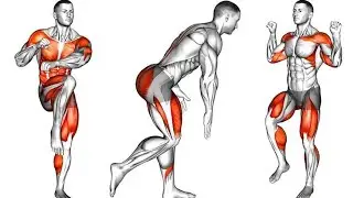 Joint-Friendly Bodyweight Workout for Beginners (No Jumping) @FitWorkout20 