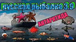 Русская рыбалка 3.9 Антарктида